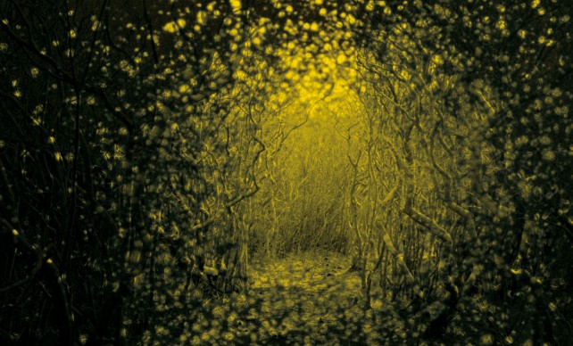 Burst Apart - The Antlers